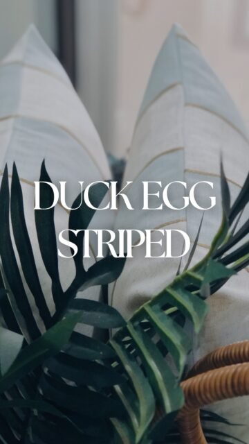 A well-styled home starts with the details. Our Duck Egg Striped Cushion Covers bring a refined, modern aesthetic to any space. ππ€
#ThrowsAndCushions #CushionCovers #HomeDecorAustralia #SydneyInteriors #MarsdenParkHomes #SoftFurnishings #LivingRoomAccessories #InteriorStyling #FurnitureDecor #ModernHomeTrends #HouseStyling #ElegantLiving #CozySpaces #LoungeRoomDecor #InteriorDesignAustralia